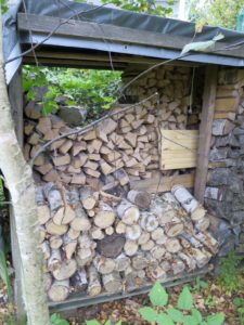 After stopping at the refreshment fridge in the cellar, we headed to the woodpile.